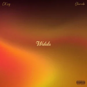 CKay – Wahala Ft. Olamide Artwork