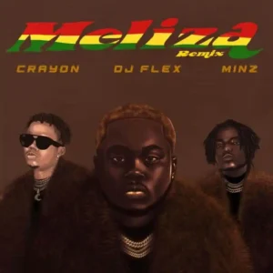 DJ Flex – Meliza ft. Crayon & Minz Artwork