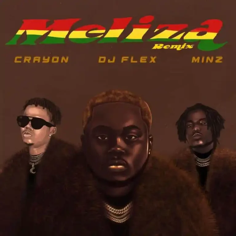 DJ Flex - Meliza ft. Crayon & Minz