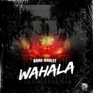 Naira Marley – Wahala Artwork