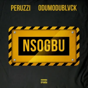 Peruzzi – Nsogbu ft. Odumodublvck Artwork