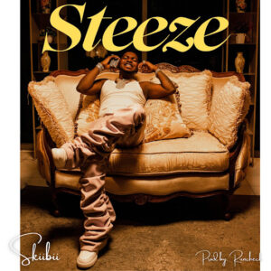 Skiibii – Steeze Artwork