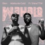 Bien - Wahala ft. Adekunle Gold & ShineTTW