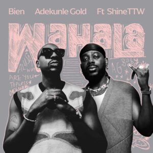 Bien – Wahala ft. Adekunle Gold & ShineTTW Artwork