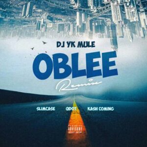 DJ YK Mule – Oblee (Remix) ft. Slimcase, Qdot & Kashcoming Artwork