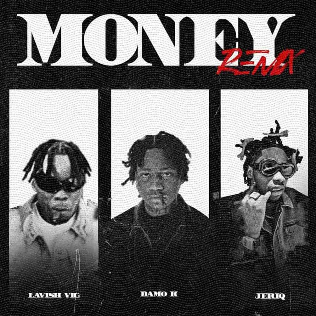 Lavish VIG – Money (Remix) ft. Damo K & Jeriq Artwork