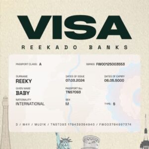Reekado Banks – Visa Artwork