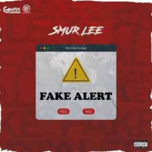 Smur Lee – Fake Alert Artwork