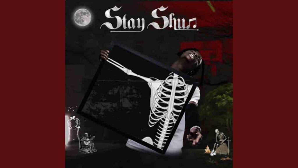 Stay Shun – Junction Artwork