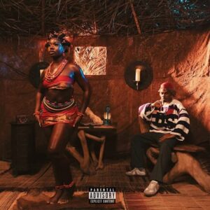 CKay – Egwu Eji Artwork