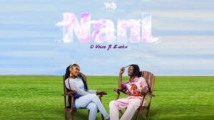D Voice – Nani ft. Zuchu Artwork