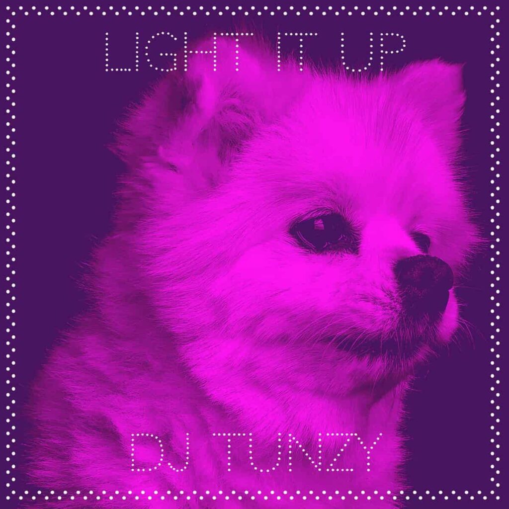 DJ Tunzy – Light It Up Artwork