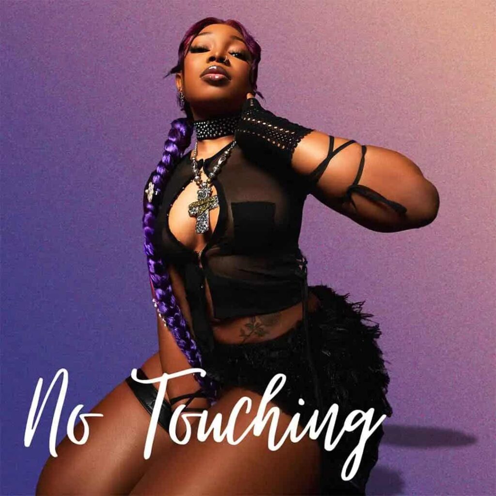 Guchi – No Touching Artwork