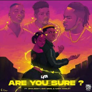 Lyta – Are You Sure ft. Zinoleesky, Emo Grae & Naira Marley Artwork