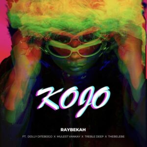 Raybekah – Kojo ft. Dolly Ditebogo, Treble Deep, Thebelebe & Mulest Vankay Artwork