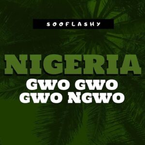 Sooflashy – Nigeria Gwo Gwo Gwo Ngwo Artwork