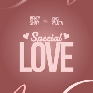 Wendy Shay – Special Love ft. King Paluta Artwork