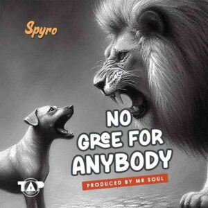 Spyro – No Gree For Anybody (NGFA) Artwork