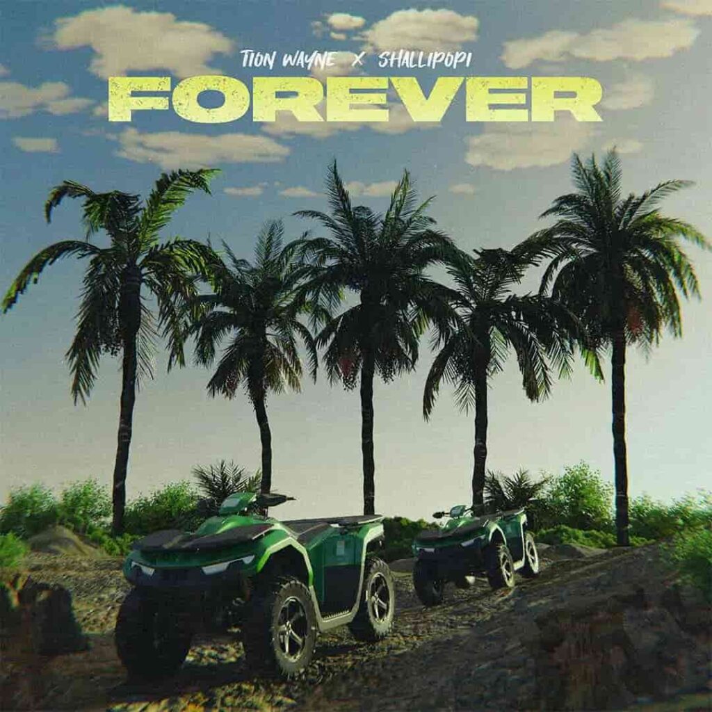 Tion Wayne – Forever ft. Shallipopi Artwork