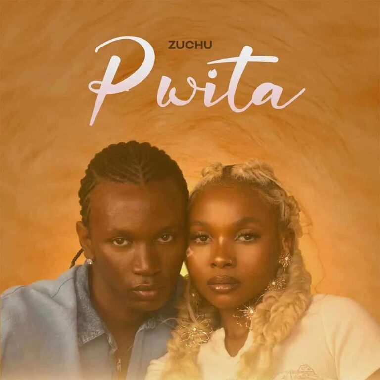 Pwita mp3 by Zuchu