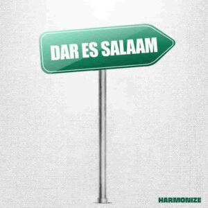 Harmonize – Dar Es Salaam Artwork