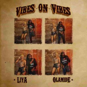 Liya – Vibes On Vibes ft. Olamide Artwork