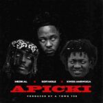 Medikal - APICKI ft. Kofi Mole & KWESI AMEWUGA