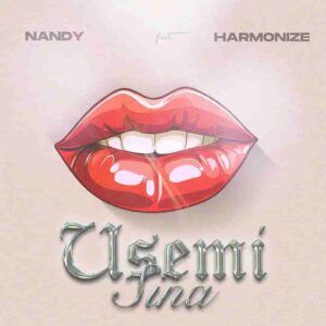 Nandy – Usemi Sina ft. Harmonize Artwork