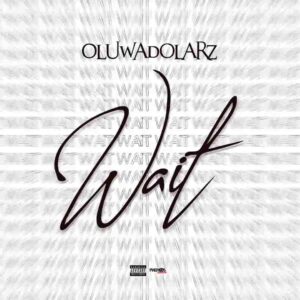 Oluwadolarz – Wait Artwork
