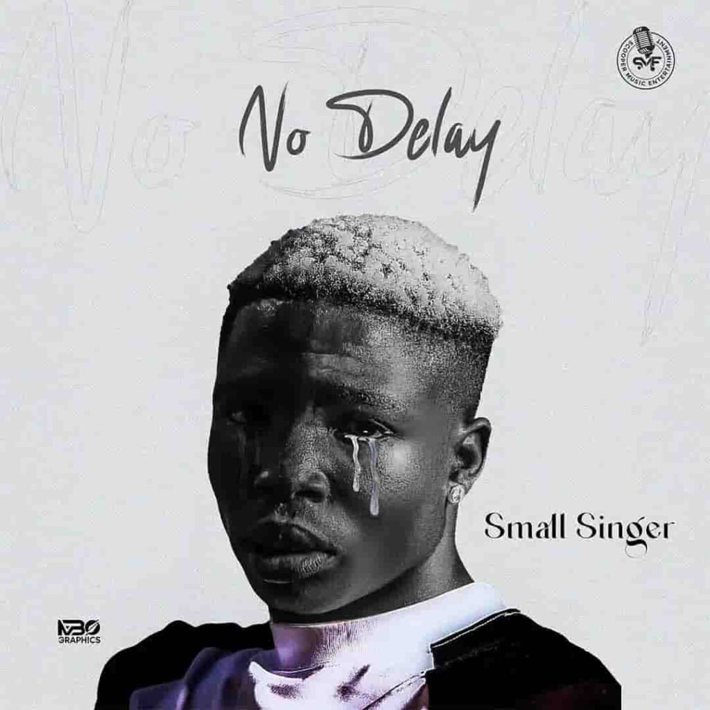 Small Singer – No Delay Artwork