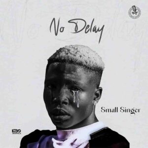 Small Singer – No Delay Artwork