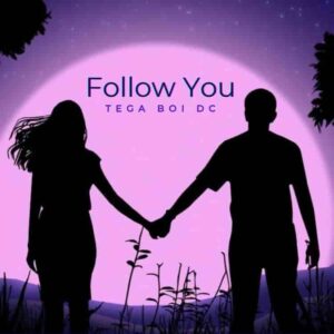 Tega Boi Dc – Follow You Artwork