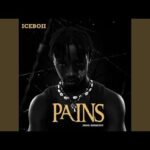 Iceboii – Pains