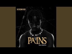 Iceboii – Pains Artwork