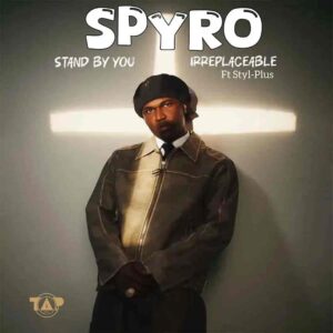 Spyro – Irreplaceable ft. Styl-Plus Artwork