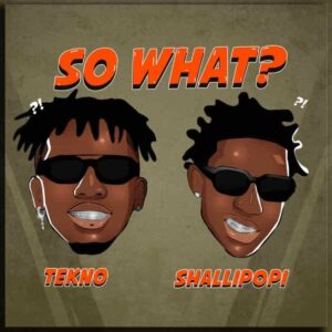 Tekno – So What? ft. Shallipopi Artwork