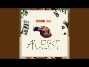 Young Duu – Alert Artwork