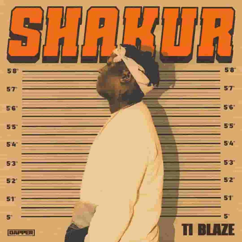 T.I Blaze – Wonder Artwork