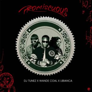DJ Tunez – Promiscuous ft. Wande Coal & Libianca Artwork