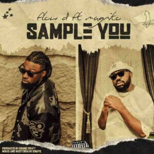 Flow D – Sample You ft. Magnito Artwork