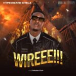 HypeWizard Shielz – WIREEE