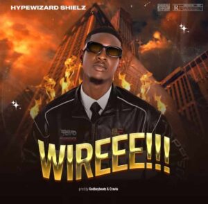 HypeWizard Shielz – WIREEE Artwork