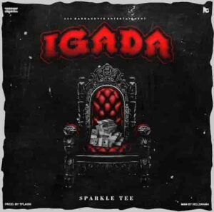Sparkle Tee – Igada Artwork