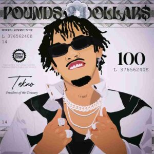 Tekno – POUNDS AND DOLLARS Artwork