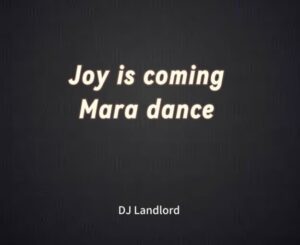 DJ Landlord – Joy Is Coming (Mara Version) Artwork