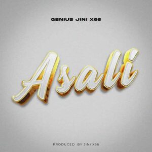 Geniusjini X66 – Asali Artwork