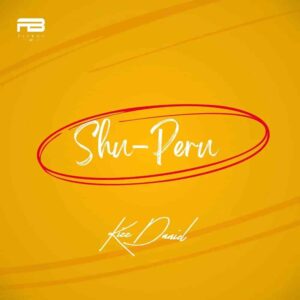 Kizz Daniel – Shu-Peru Artwork