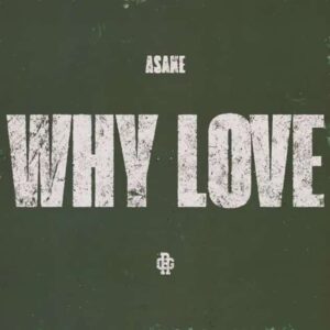 Asake – WHY LOVE Artwork