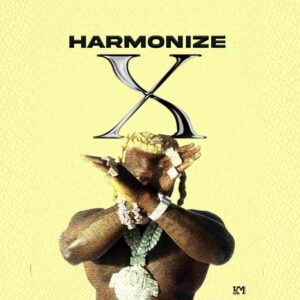 Harmonize – X Artwork
