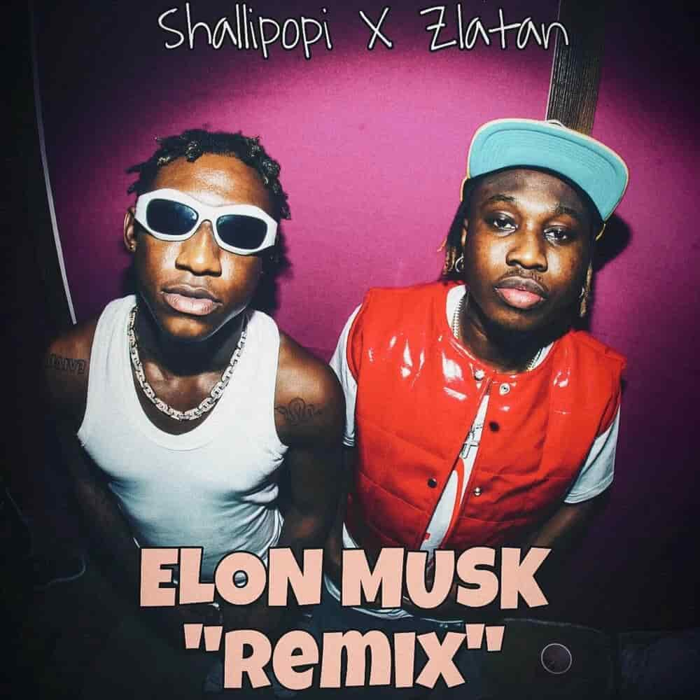 Elon Musk Remix mp3 by Shallipopi feat. Zlatan